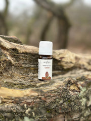 Etherische olie - Ceder