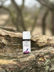 Etherische olie - Lavendel